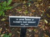 image of grave number 101705